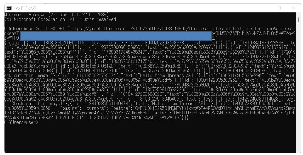 Threads APIの実行例